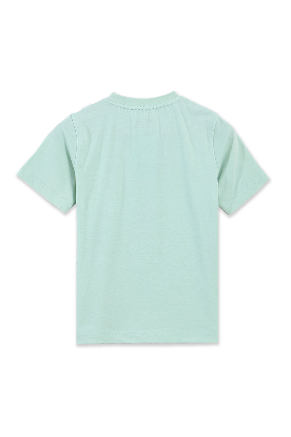 Boys Branded Graphic T-Shirt - Pastachio
