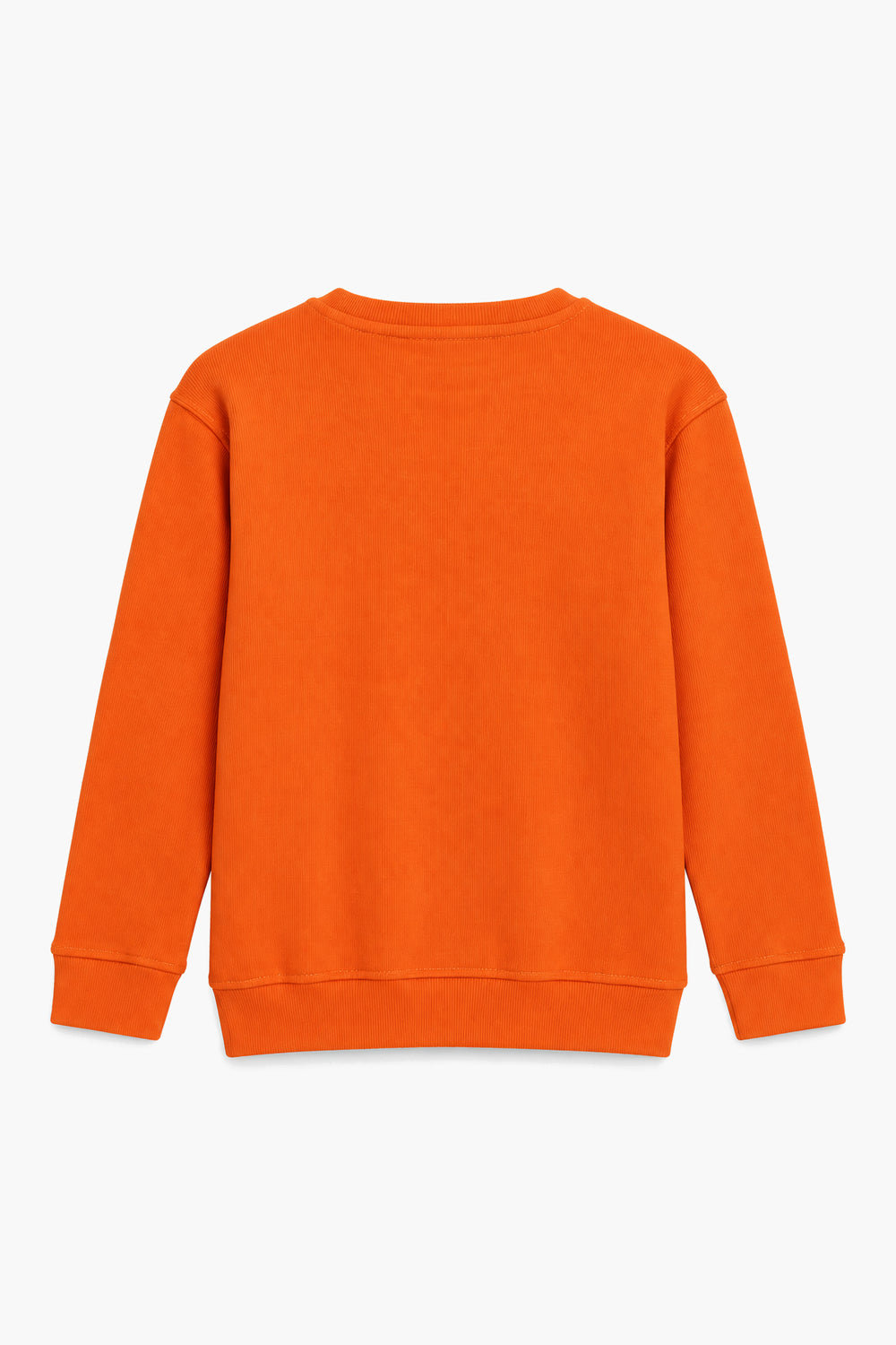 BASIC SWEATSHIRT