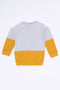 Boys Branded Printed Terry Sweatshirt - Heather Grey and Yellow