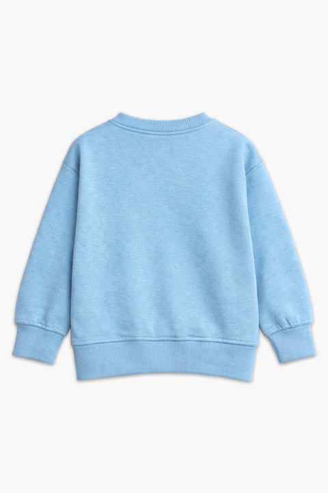 Boys Branded Graphic Sweatshirt - Mint