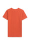 Men Graphic T-Shirt MT24#15 - Rust