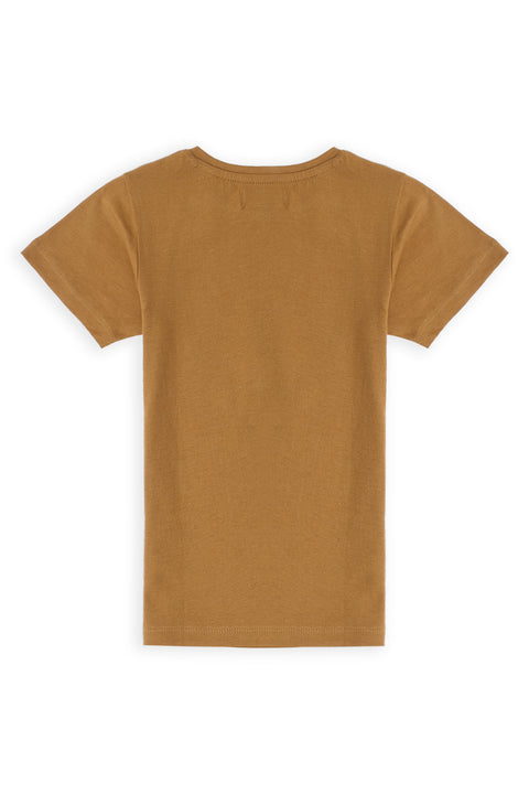 Boys Graphic T-Shirt BT24#17 - D/Brown