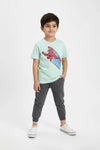 Boys Branded Graphic T-Shirt - Pistachio