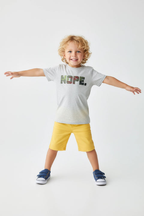 Boys Branded Graphic T-Shirt - Heather Grey