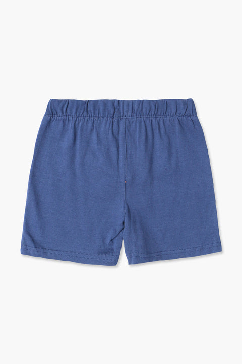 Boys Branded Jersey Short High Quality - Dusty Blue