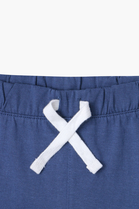 Boys Branded Jersey Short High Quality - Dusty Blue
