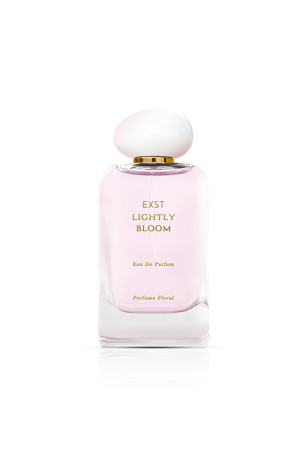 Lightly Bloom