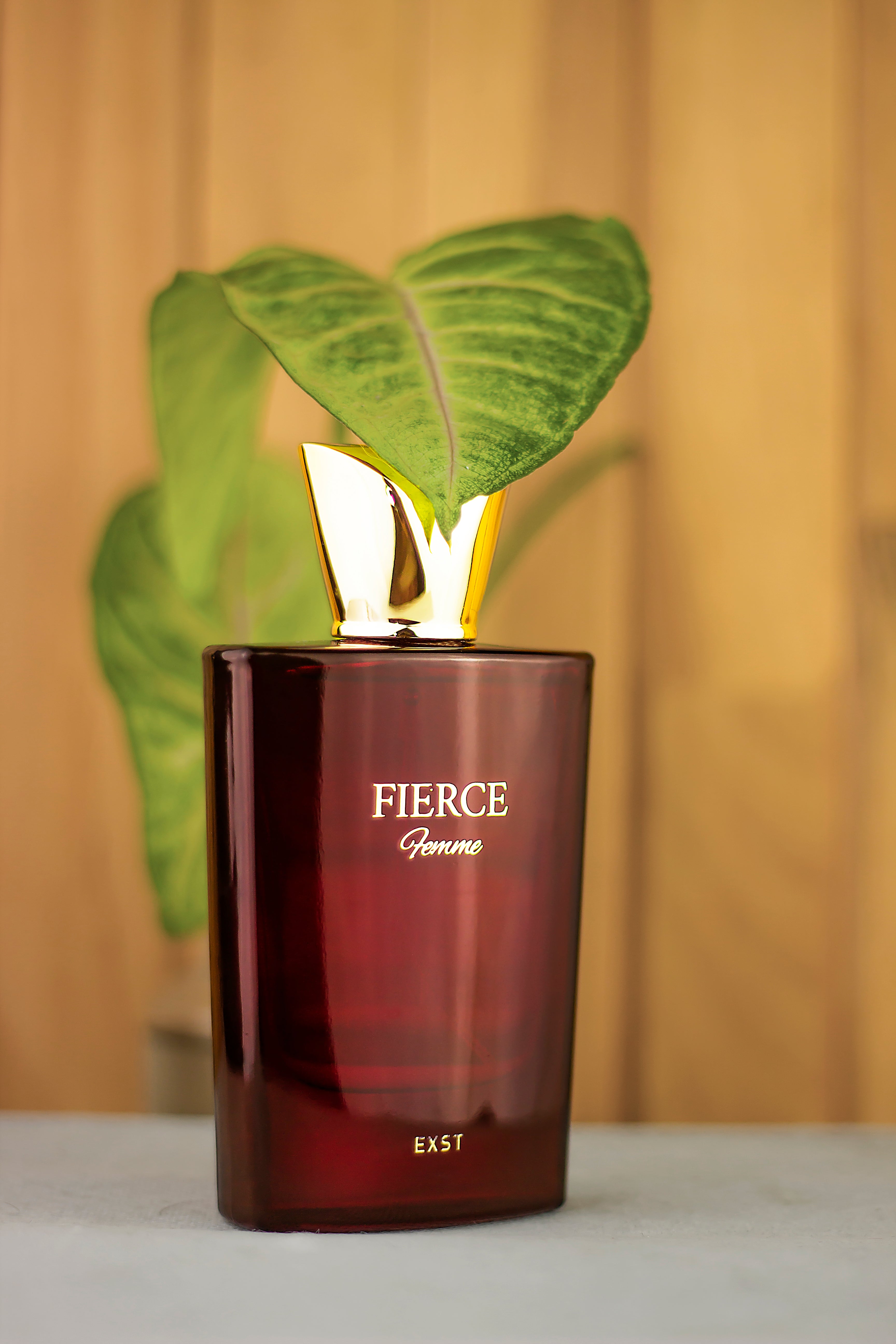 Fierce Fragrance For Women 55ML