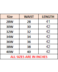 Men Branded Regular Fit Chino - Navy